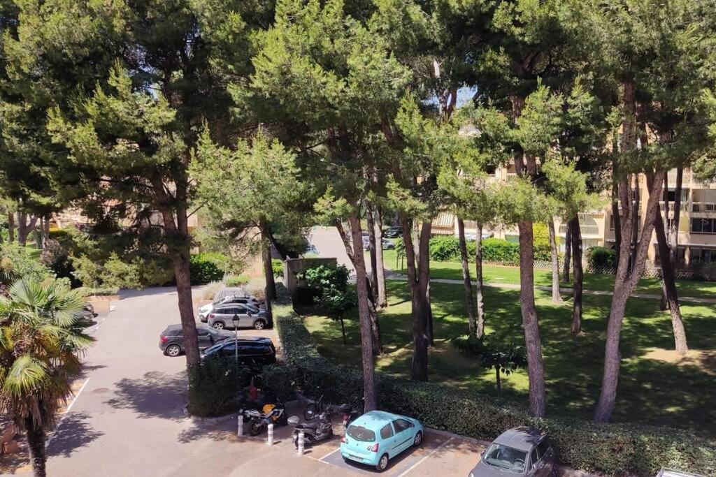 Bel Appartement Avec Piscine Proche Des Plages Six-Fours-les-Plages Exteriér fotografie